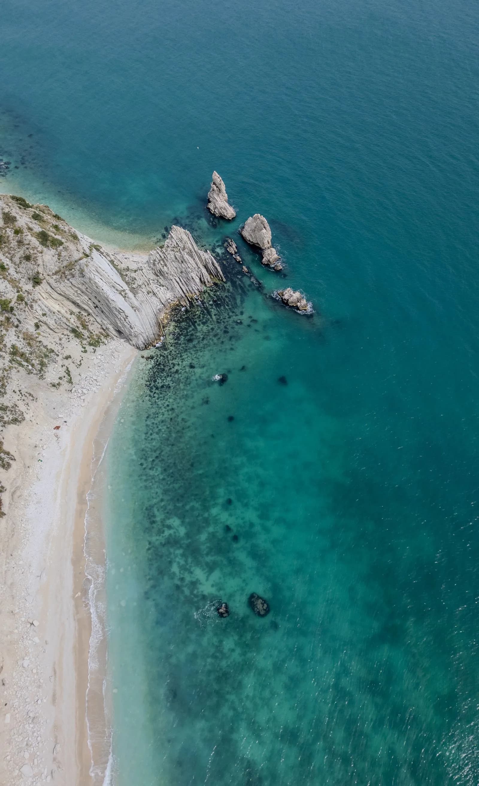 Vista aerea delle falesie stratificate bianche del Monte Conero a picco su un mare turchese, con una piccola caletta di ciottoli ai loro piedi