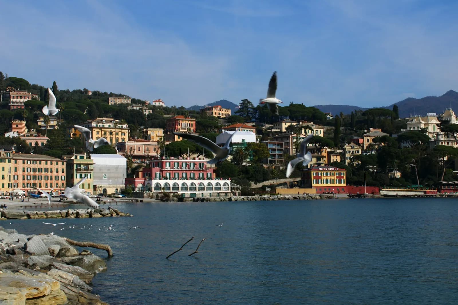 Il lungomare di Santa Margherita Ligure con le case colorate viste dal mare e gabbiani in volo