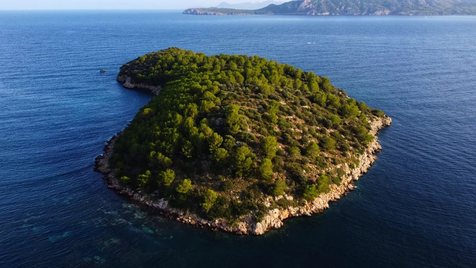 Un'isola verde e boscosa circondata dal mare, immagine della natura selvaggia delle isole Pontine