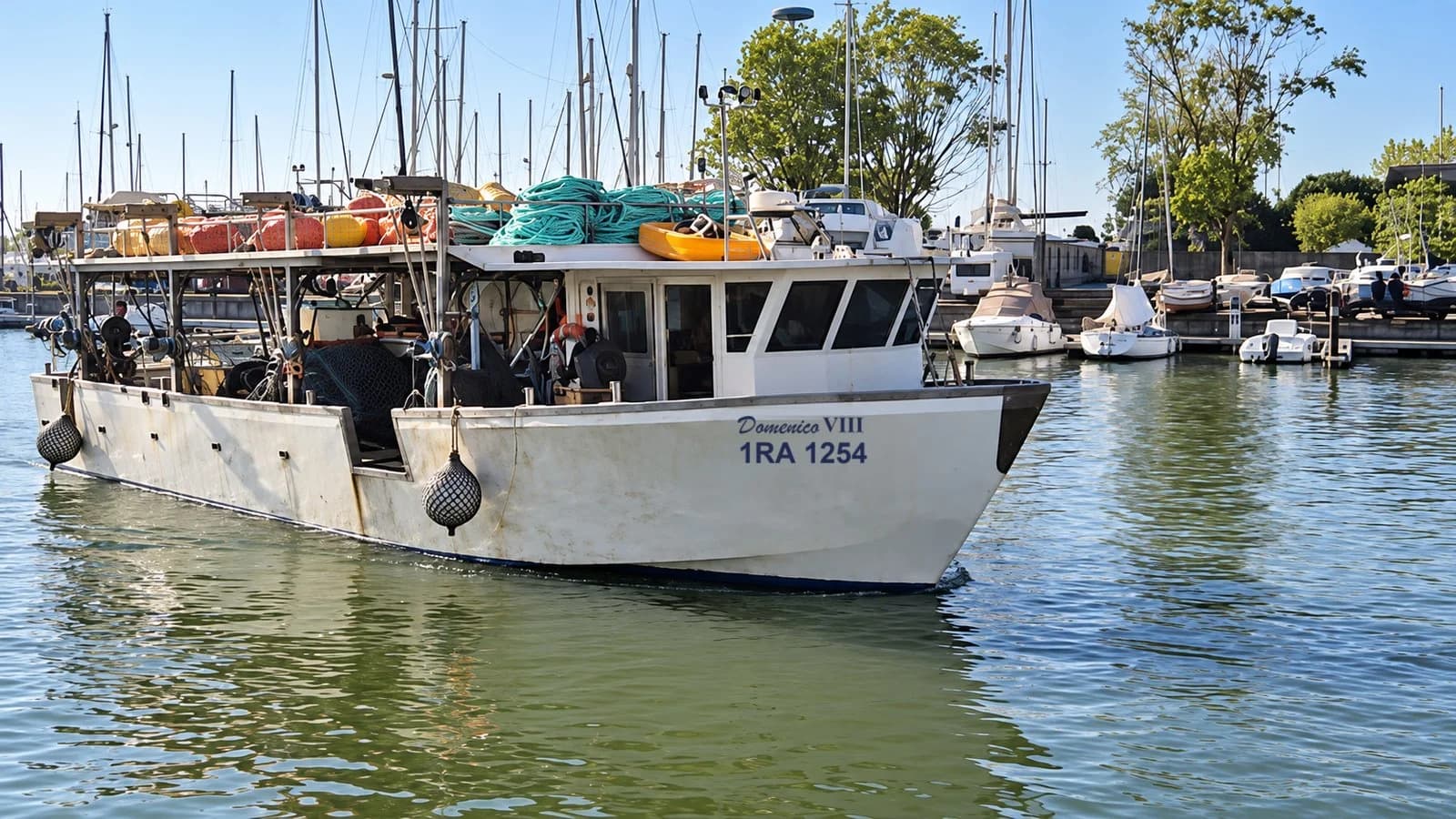 Barca da cozze professionale 18 m DOMENICO VIII - anno 2015 - 2