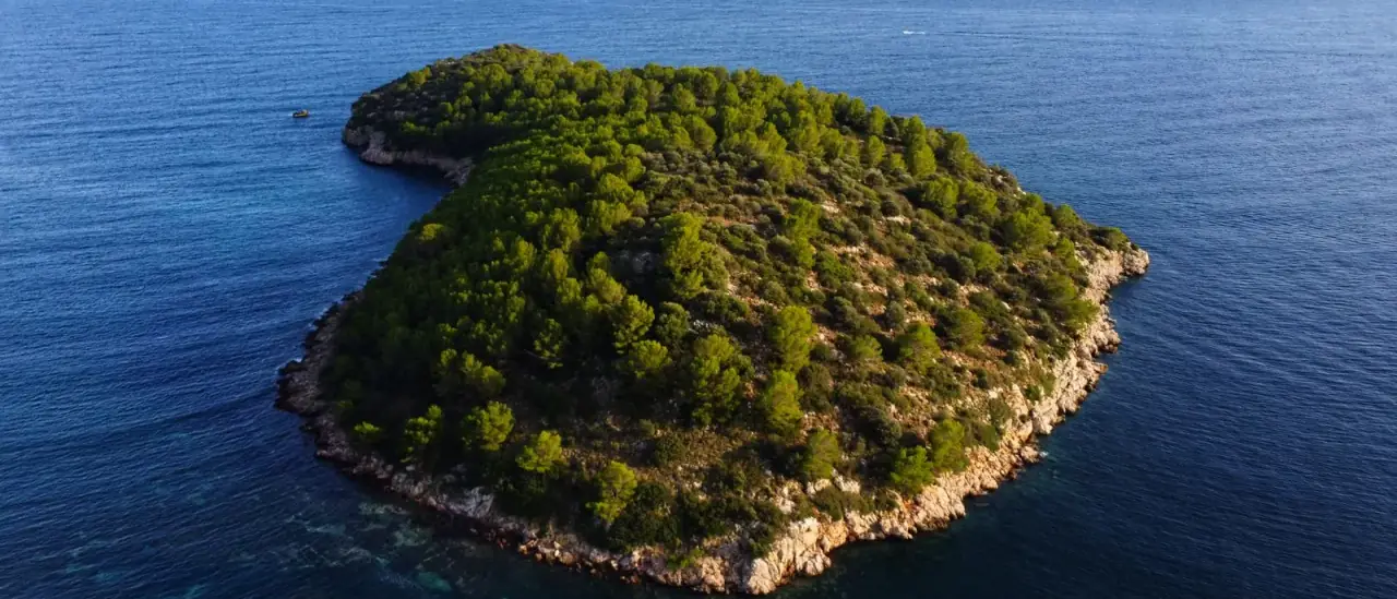 Un'isola verde e boscosa circondata dal mare, immagine della natura selvaggia delle isole Pontine